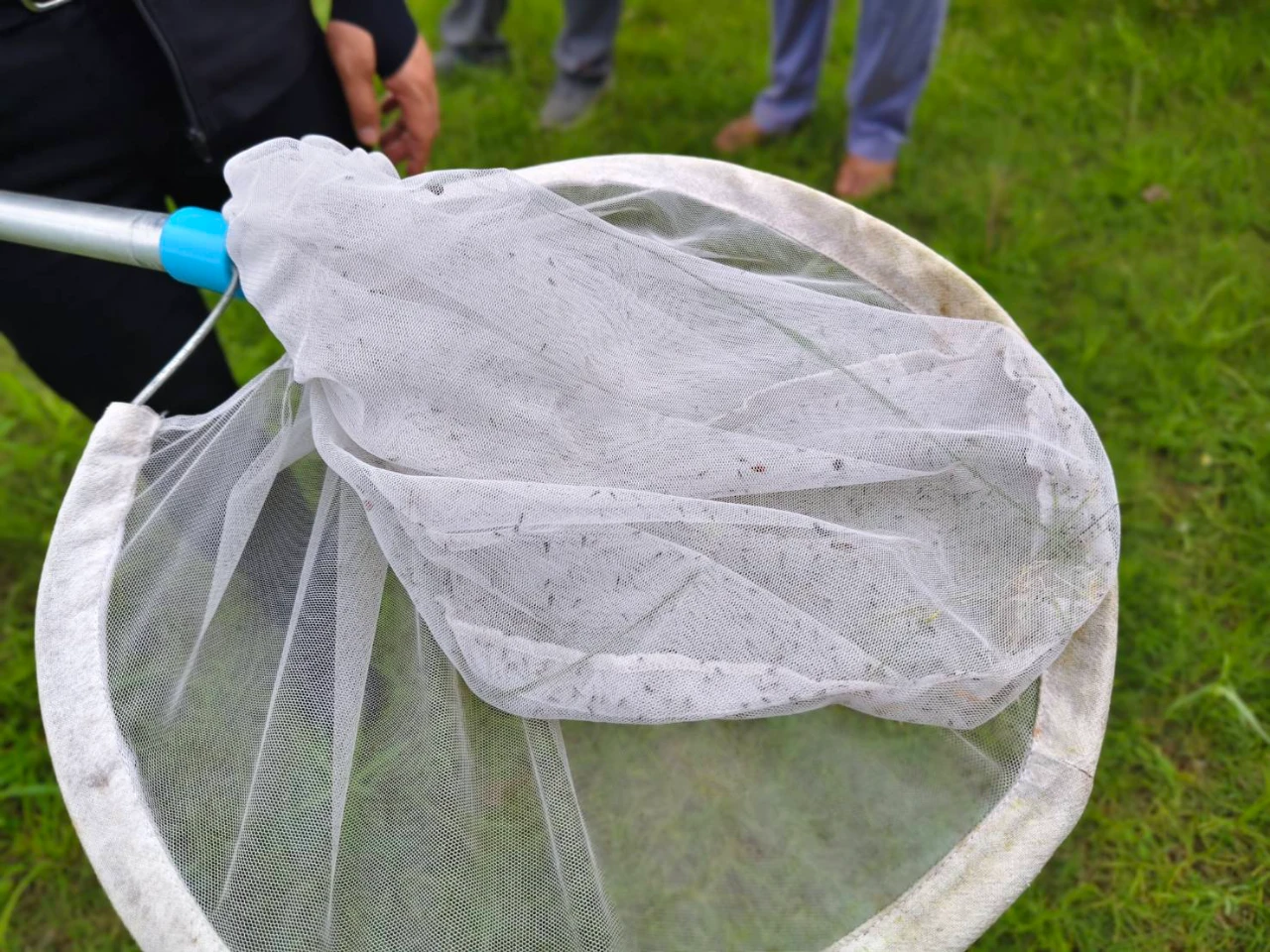 catalogs_file_1692_56_40_717941.webp