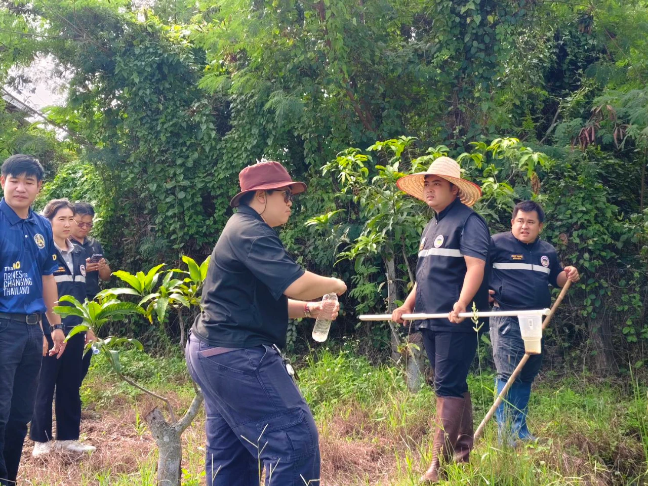 catalogs_file_1778_49_49_233914.webp